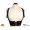 Leather Steampunk Under Bust Harness